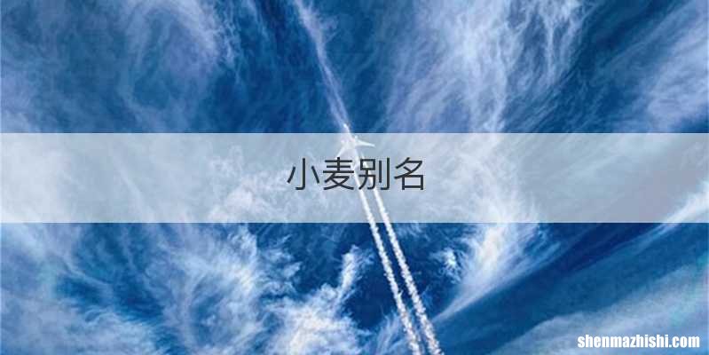 小麦别名