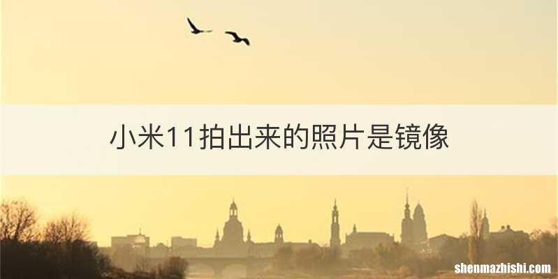 小米11拍出来的照片是镜像