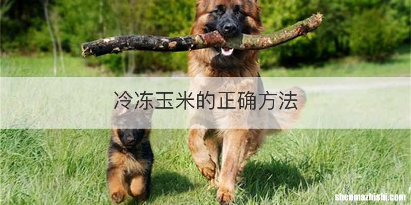 冷冻玉米的正确方法