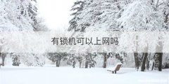 有锁机可以上网吗