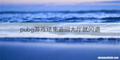 pubg游戏结束返回大厅就闪退