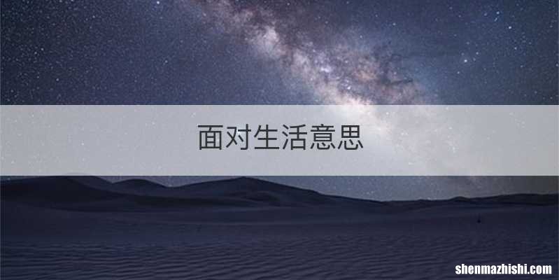 面对生活意思