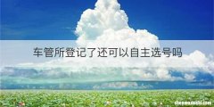 车管所登记了还可以自主选号吗