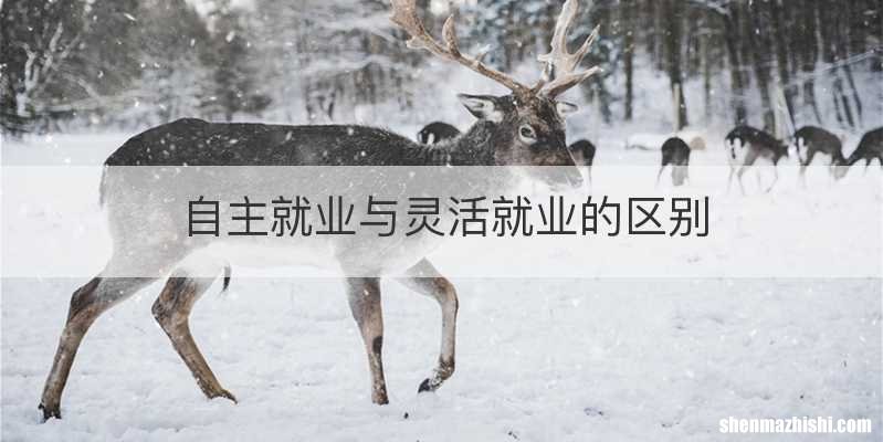自主就业与灵活就业的区别