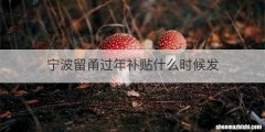 宁波留甬过年补贴什么时候发