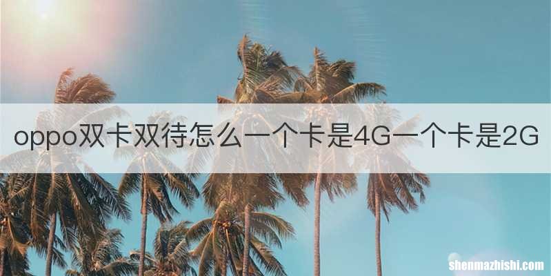 oppo双卡双待怎么一个卡是4G一个卡是2G