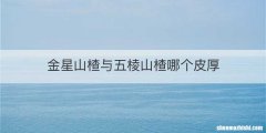 金星山楂与五棱山楂哪个皮厚