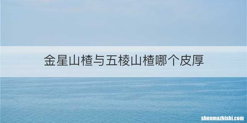 金星山楂与五棱山楂哪个皮厚