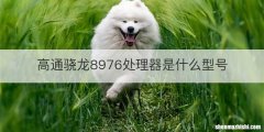 高通骁龙8976处理器是什么型号