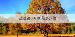 望远镜80x80是多少倍