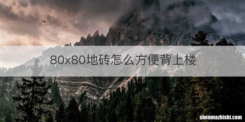80x80地砖怎么方便背上楼