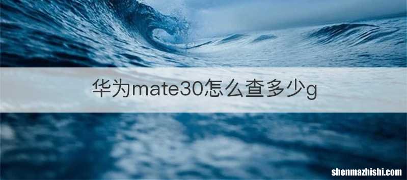 华为mate30怎么查多少g
