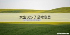 女生说双子是啥意思