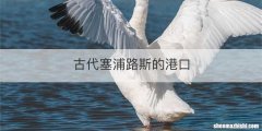 古代塞浦路斯的港口
