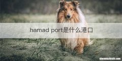 hamad port是什么港口