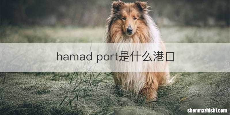 hamad port是什么港口