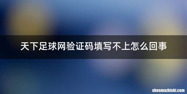 天下足球网验证码填写不上怎么回事