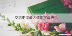 交流电流最大值用字母表示