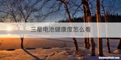 三星电池健康度怎么看