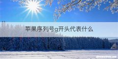 苹果序列号g开头代表什么