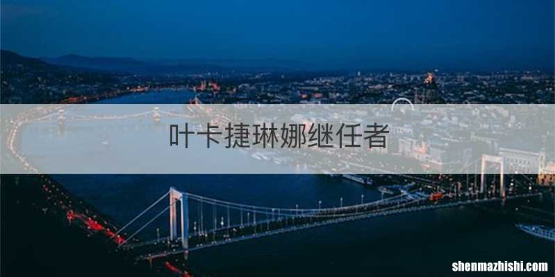 叶卡捷琳娜继任者