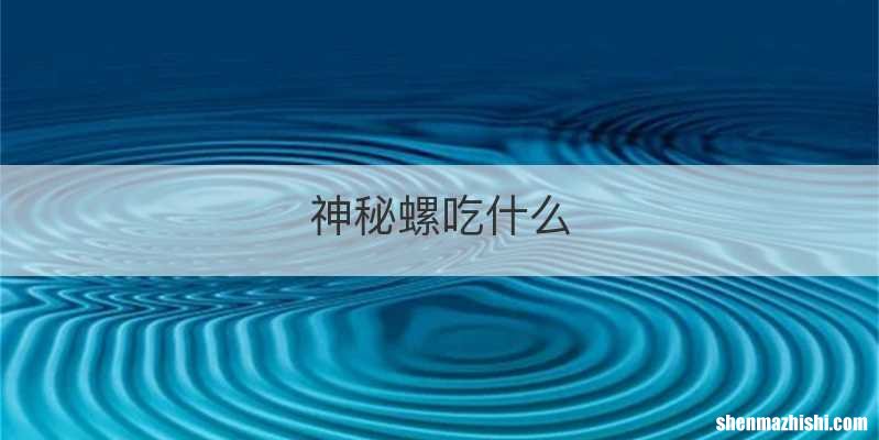 神秘螺吃什么