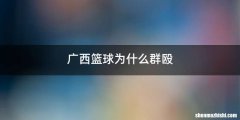 广西篮球为什么群殴