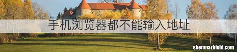 手机浏览器都不能输入地址