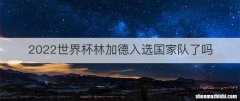 2022世界杯林加德入选国家队了吗