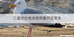 三星优化电池使用量开还是关