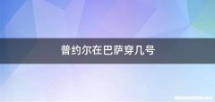 普约尔在巴萨穿几号