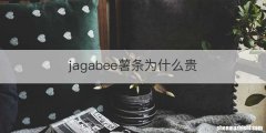 jagabee薯条为什么贵
