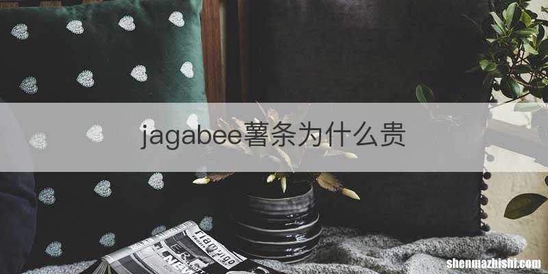 jagabee薯条为什么贵