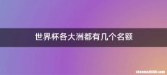 世界杯各大洲都有几个名额