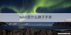 febit是什么牌子手表