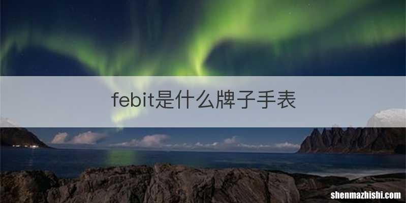 febit是什么牌子手表