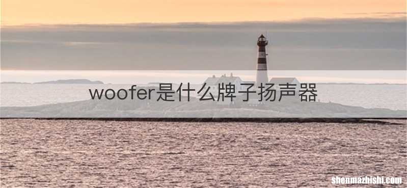 woofer是什么牌子扬声器
