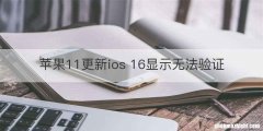 苹果11更新ios 16显示无法验证