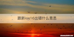 跟新ios16出错什么意思