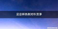 足总杯热刺对朴茨茅