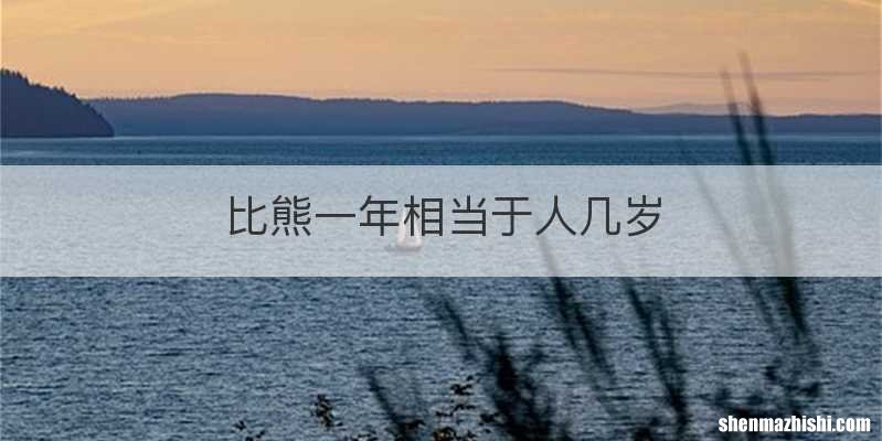 比熊一年相当于人几岁