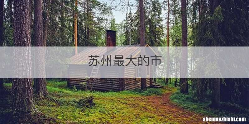 苏州最大的市