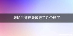 老哈兰德在曼城进了几个球了