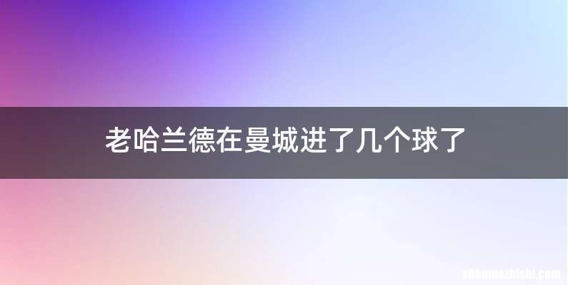 老哈兰德在曼城进了几个球了