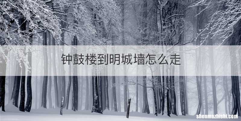 钟鼓楼到明城墙怎么走