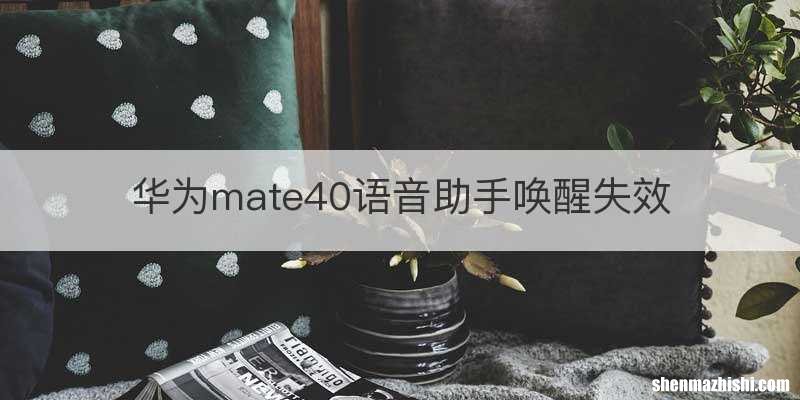 华为mate40语音助手唤醒失效