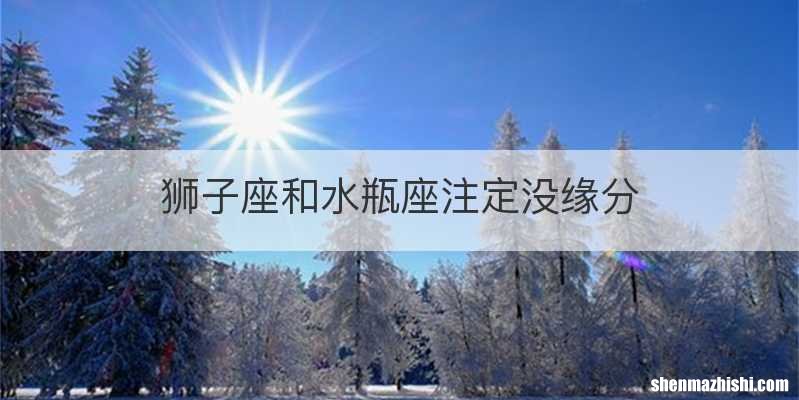 狮子座和水瓶座注定没缘分