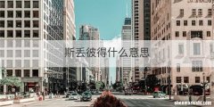 斯丢彼得什么意思