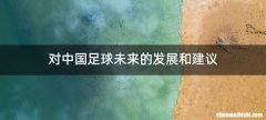 对中国足球未来的发展和建议