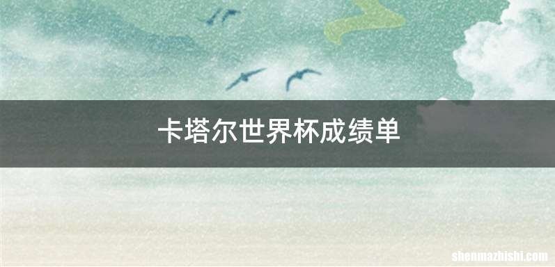 卡塔尔世界杯成绩单